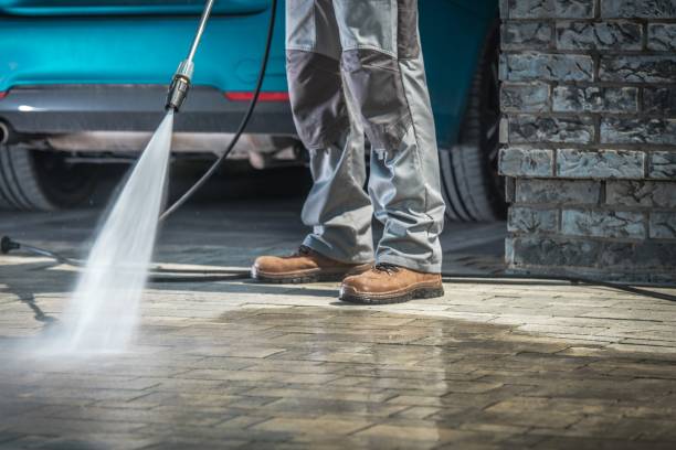 Best Paint Preparation  in Warren, MN