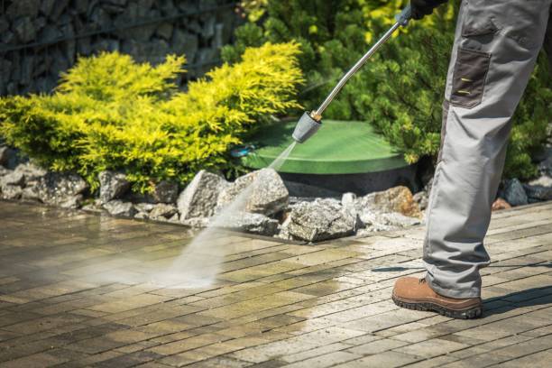 Best Soft Washing  in Warren, MN
