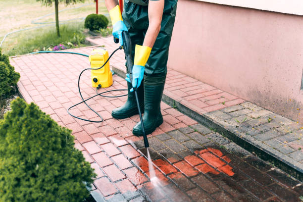 Best Driveway Pressure Washing  in Warren, MN